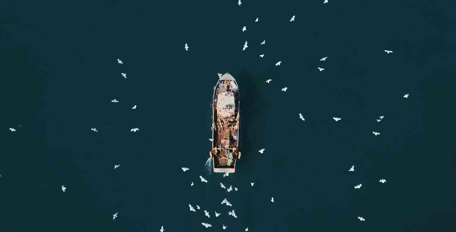 Une s&eacute;rie de courts m&eacute;trages issus du cin&eacute;ma en ligne 'Zero Plus'